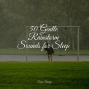 50 Gentle Rainstorm Sounds for Sleep