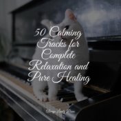 50 Calming Tracks for Complete Relaxation and Pure Healing