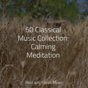 50 Classical Music Collection: Calming Meditation