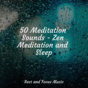 50 Meditation Sounds - Zen Meditation and Sleep