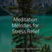 Meditation Melodies for Stress Relief