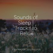 Sounds of Sleep | Tracks to Relax