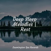 Deep Sleep Melodies | Rest