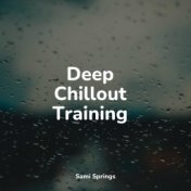 Deep Chillout Training