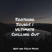 Soothing Sounds | Ultimate Chilling Out