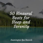 50 Binaural Beats for Sleep and Serenity