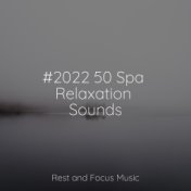 #2022 50 Spa Relaxation Sounds