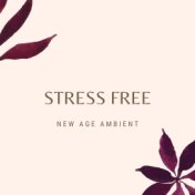 Stress Free: New Age Ambient Sounds for a Quiet Mind, Free from Stress