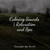 Calming Sounds | Relaxation and Spa