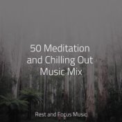 50 Meditation and Chilling Out Music Mix