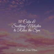 50 Calm & Soothing Melodies to Relax the Spa