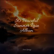 50 Peaceful Summer Rain Album