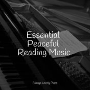 Essential Peaceful Reading Music