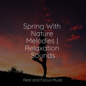 Spring With Nature Melodies | Relaxation Sounds