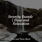 Serenity Sounds | Sleep and Relaxation