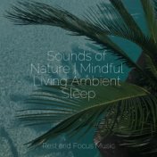 Sounds of Nature | Mindful Living Ambient Sleep