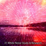 31 White Noise Study & Research