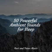50 Powerful Ambient Sounds for Sleep
