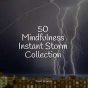 50 Mindfulness Instant Storm Collection