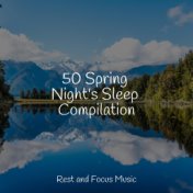 50 Spring Night's Sleep Compilation