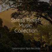 Stress Relief Music Collection