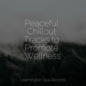 Peaceful Chillout Tracks to Promote Wellness