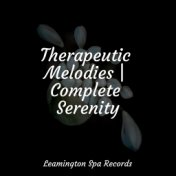 Therapeutic Melodies | Complete Serenity