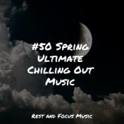 #50 Spring Ultimate Chilling Out Music