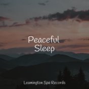 Peaceful Sleep