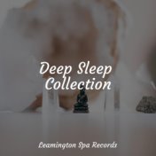 Deep Sleep Collection