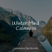 Winter Mind Calmness