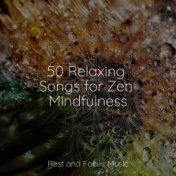 50 Relaxing Songs for Zen Mindfulness