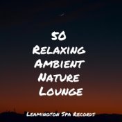 50 Relaxing Ambient Nature Lounge