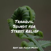 Tranquil Sounds for Stress Relief