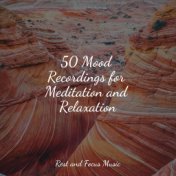 50 Mood Recordings for Meditation and Relaxation