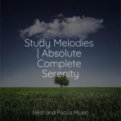 Study Melodies | Absolute Complete Serenity