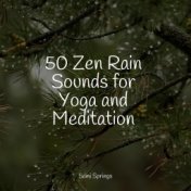 50 Meditation Rain Sounds