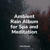 Ambient Rain Album for Spa and Meditation