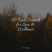 50 Rain Sounds for Spa & Wellness