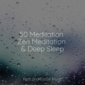 50 Meditation Zen Meditation & Deep Sleep