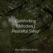 Comforting Melodies | Peaceful Sleep