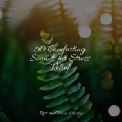 50 Comforting Sounds for Stress Relief