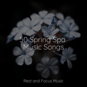 50 Spring Spa Music Songs