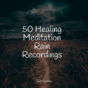 50 Healing Meditation Rain Recordings