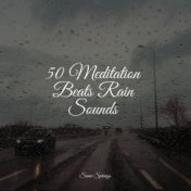 50 Meditation Beats Rain Sounds