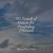 50 Sounds of Nature for Comforting Moments