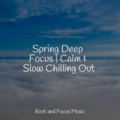 Spring Deep Focus | Calm & Slow Chilling Out