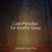 Calm Melodies for Restful Sleep