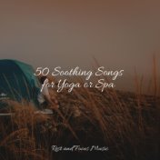50 Soothing Songs for Yoga or Spa