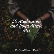 50 Meditation and Yoga Music Mix